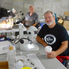 Drs. Richard Heard (L) and Jeff Shields (R) study crab parasites under the microscope. © D. S. Johnson/VIMS.