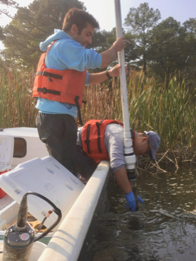 Miguel Semedo (L) and Bongkeun Song collect a sediment core from a tidal creek on Virginia's Eastern Shore.  