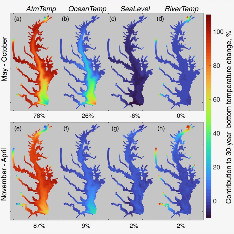 Modeling shows that about 80-90% of Bay warming is driven by atmospheric effects (AtmTemp). Ocean warming is concentrated near the Bay mouth, while warming due to river flow has been limited to the heads of tidal tributaries. Sea-level rise has slightly tempered summer warming, as a deeper Bay takes longer to warm in spring. K. Hinson/VIMS.