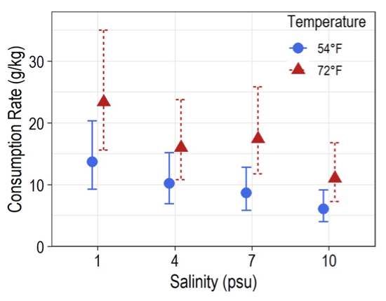 Mean consumption rates shown by juvenile blue catfish were higher at higher temperatures at all salinity levels. Error bars correspond to 95% confidence bands.