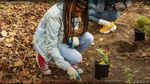 Project partners have long worked with diverse communities and with a commitment to environmental justice. © Elizabeth River Project/Paradise Creek Nature Park.