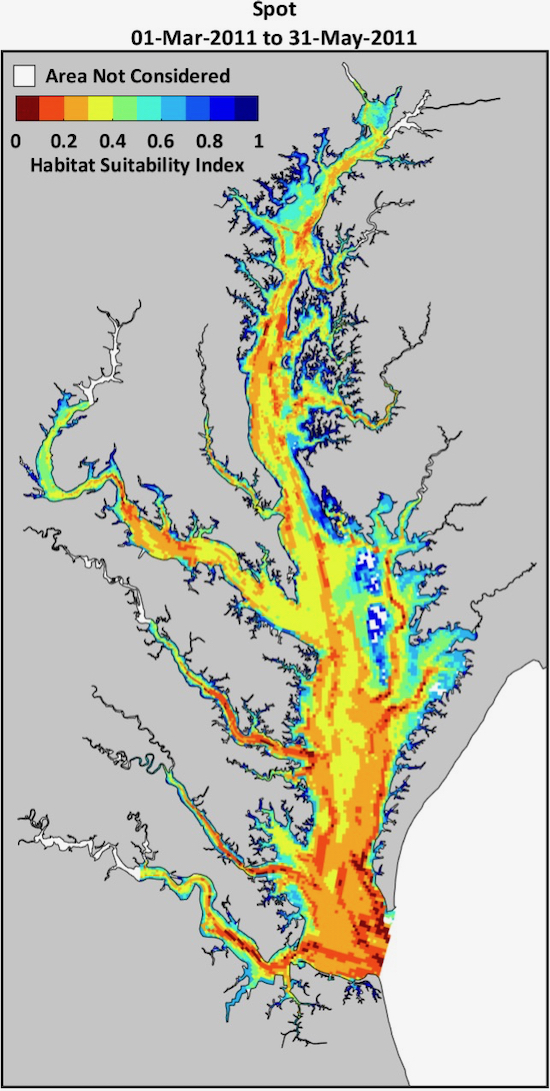 VIMS’ Habitat Suitability maps—like this one for juvenile spot—reveal the seasonal extent of areas within Chesapeake Bay that provide suitable conditions for forage species. © VIMS Juvenile Fish Trawl Survey.