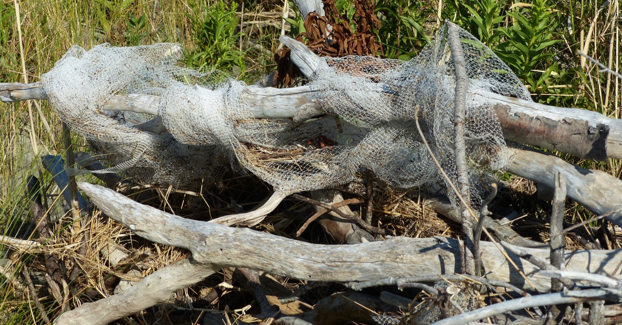 VIMS partners with JASON Learning for Beyond the Plastic Bottle