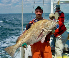 Latour with a black drum collected during a VIMS fisheries survey.