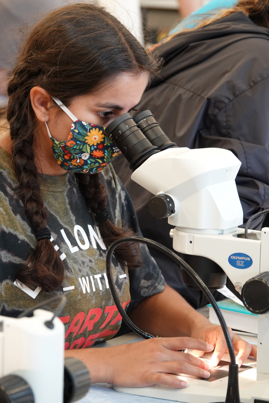 MA student Claudia Moncada examines zooplankton under a microscope during the annual new-student field trip to VIMS’ Eastern Shore Laboratory. © D. Malmquist/VIMS.