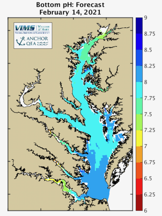 A model developed by Dr. Marjy Friedrichs forecasts the acidity of Bay waters. Click image to view current projections.