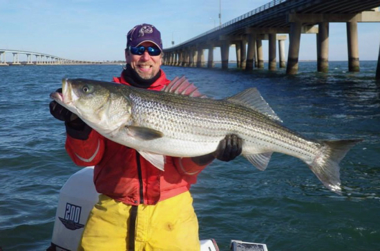 VIMS scientist are looking for photos of fish, like this striped bass held by Paul Richardson of Yorktown, to help train their machine-learning model. They particularly seek photos of infrequently caught species.