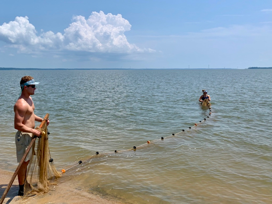 Crew members PJ LeBel III (L) and Ashleigh Thomas (R) seine for juvenile striped bass on the James River. © J. Buchanan/VIMS.