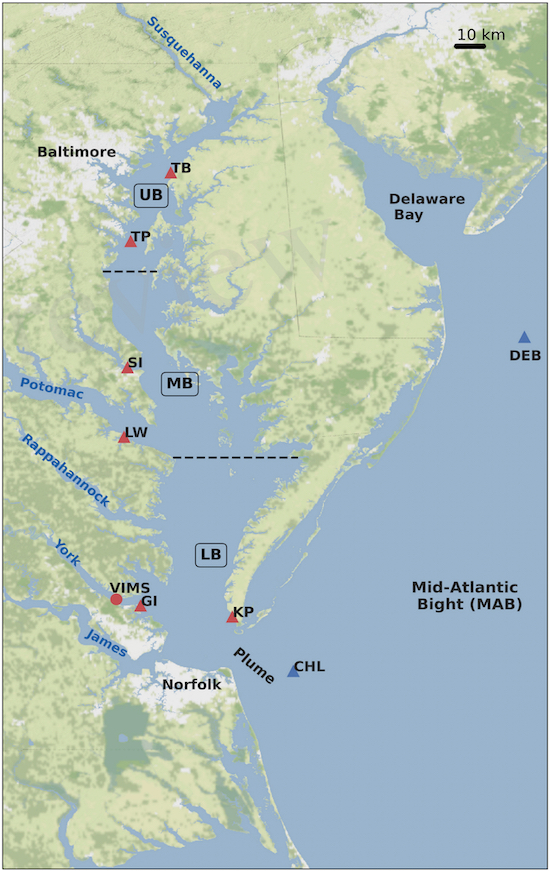 The researchers analyzed temperature data from six Bay stations operated by four different monitoring programs: the National Data Buoy Center, the Center for Operational Oceanographic Products and Services, the Chesapeake Bay National Estuarine Research Reserve, and VIMS’ historic Ferry Pier monitoring program. The Bay stations are Tolchester Beach (TB), Thomas Point (TP), Solomons Island (SI), Lewisetta (LW), Goodwin Islands (GI) and Kiptopeke (KP). Two ocean stations, the Chesapeake Light Tower (CHL) and Delaware Bay buoy (DEB), allowed comparison with marine temperatures.
