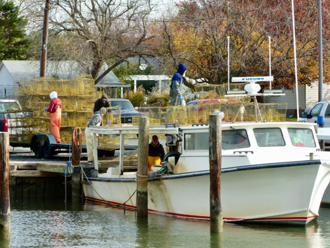 {em}Faces of the Chesapeake{/em} seeks to highlight a broad range of stakeholders, including watermen. © D. Malmquist.