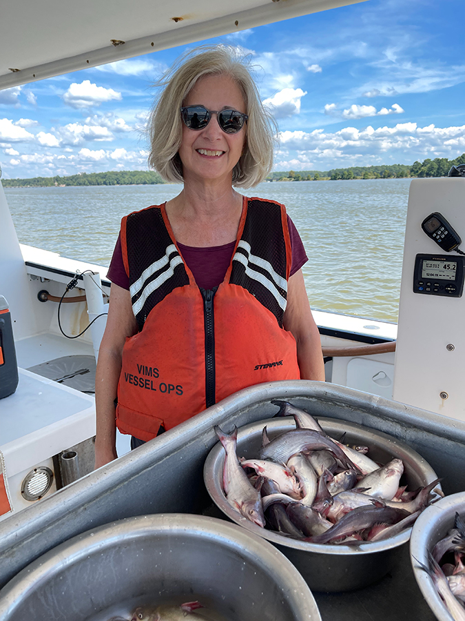 Dr. Mary Fabrizio in the field helping with blue catfish trawls.