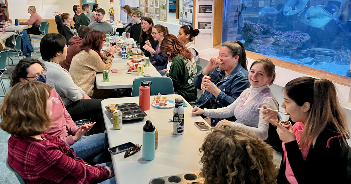 LaGanke, Armstrong, Barksdale win top spots in 15th annual GSA chili