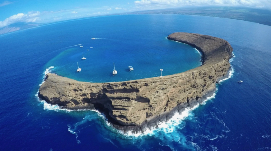 Molokini Crater is one of the world’s most popular snorkeling spots and the site of a long-running series of fish surveys. Boss Frog/Wikimedia Commons. CC BY-SA 4.0