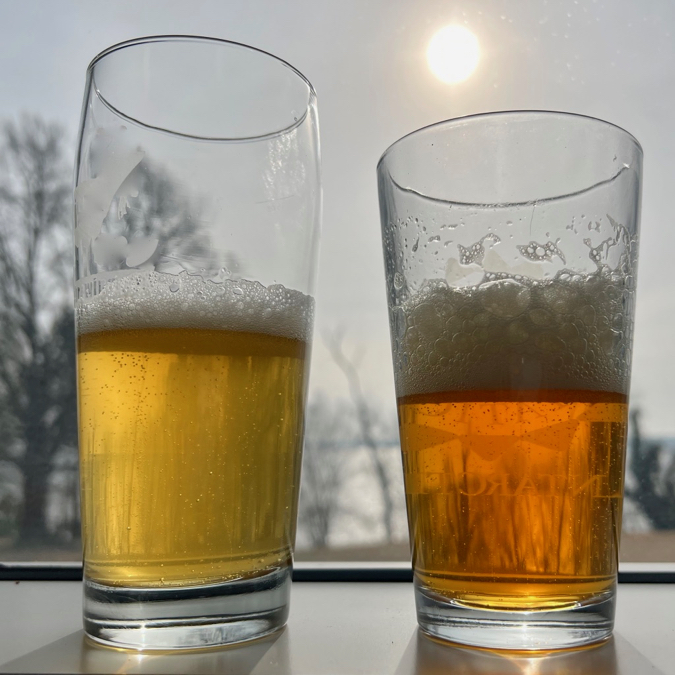 As with water in the Chesapeake Bay and other aquatic ecosystems, the clarity of different beers depends on their concentrations of dissolved and particulate matter. © D. Malmquist/VIMS.