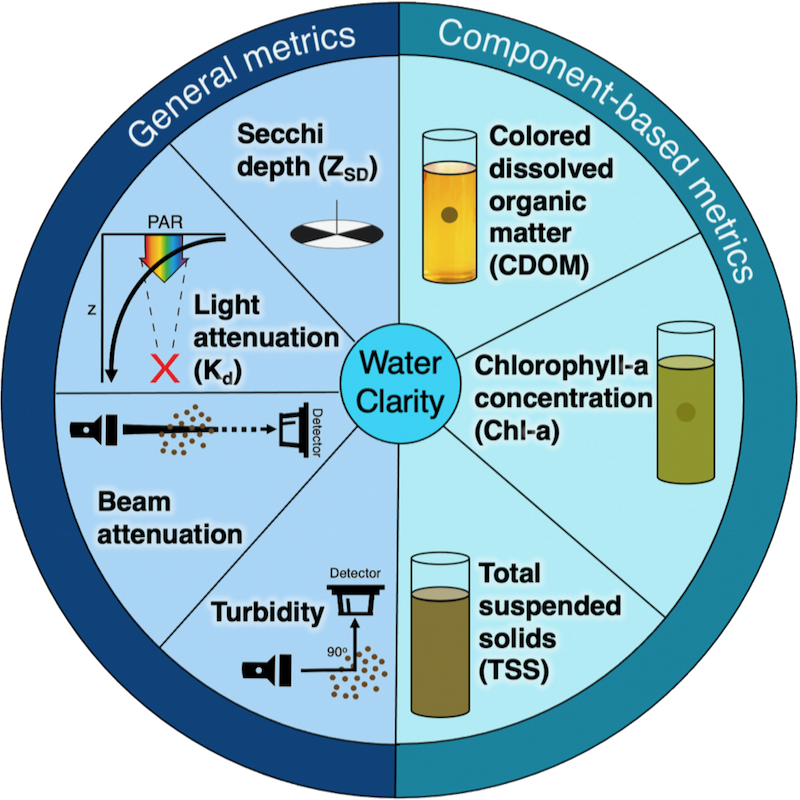 Common metrics used to monitor water clarity include (counter-clockwise from top L): Secchi depth, light attenuation, beam attenuation, and turbidity. Metrics identified with specific components of the water column include total suspended solids concentration, chlorophyll a concentration, and colored dissolved organic matter. Some symbols are adapted from IAN UMCES media library. Figure courtesy of Dr. Jessie Turner/VIMS.
