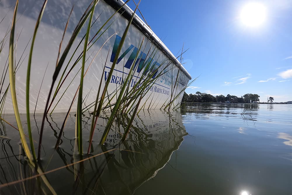VIMS & Batten School Scientist Matt Mainor won the grand prize in the 25th annual photo contest for his photo, Beautiful Day on the Lafayette River.