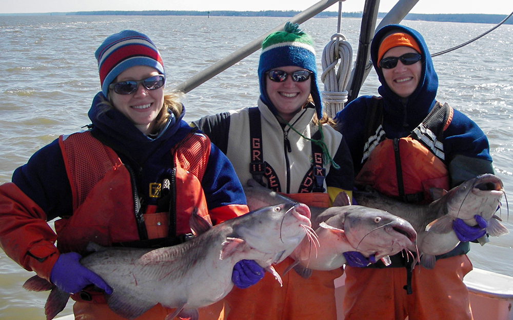 Batten School & VIMS scientists holding specimens of blue catfish. From left to right: Laboratory Specialist Aimee Comer, former Lab Specialist Jennifer Conwell and former student Justine Woodward M.S. ’09. Photo provided by Mary Fabrizio.