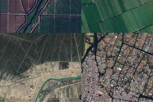 Aerial photos of ditch networks in Indonesia (top left), the Netherlands (top right), Iraq (bottom left) and Mexico (bottom right). Maps data: Google Earth, Airbus, Maxar Technologies