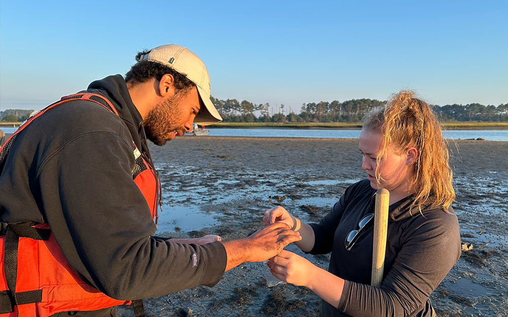 New Batten School & VIMS graduate students Johnathan Williams (left) and Sophia Tearman (right) collect live specimens on a mudflat. Photo by Ethan Smith.