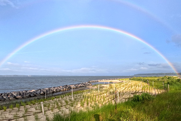 penniman-spit-rainbow-thumb