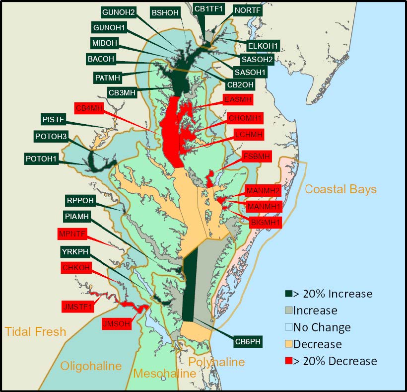 The contrasting changes observed throughout the Bay reflect the incredible diversity of geographic regions, land-use regimes, SAV species and local environmental conditions that contribute in aggregate to Baywide SAV status each year.