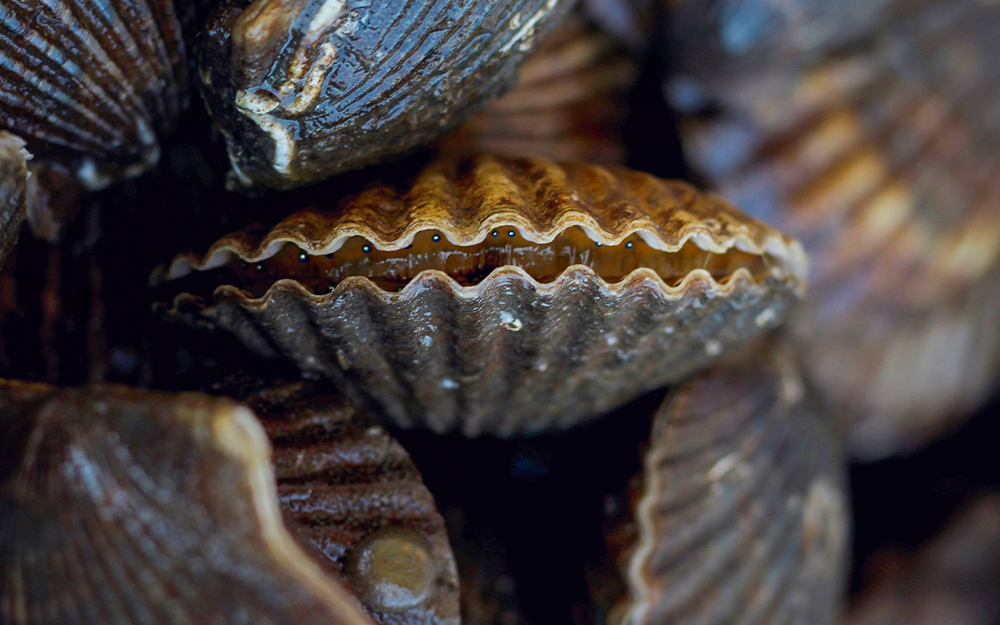 Photo by Reba Turner Smith.