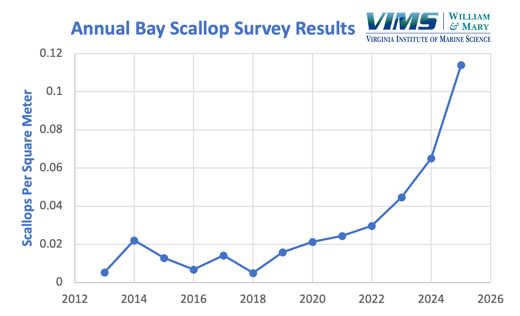 Once locally extinct, bay scallops have returned to Virginia's southern coastal bays following restoration efforts by the Batten School & VIMS' Eastern Shore Laboratory.
