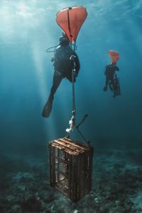 Divers utilize lift bags to extract ghost traps otherwise inaccessible from the surface. Photo provided by the National Marine Sanctuary Foundation.