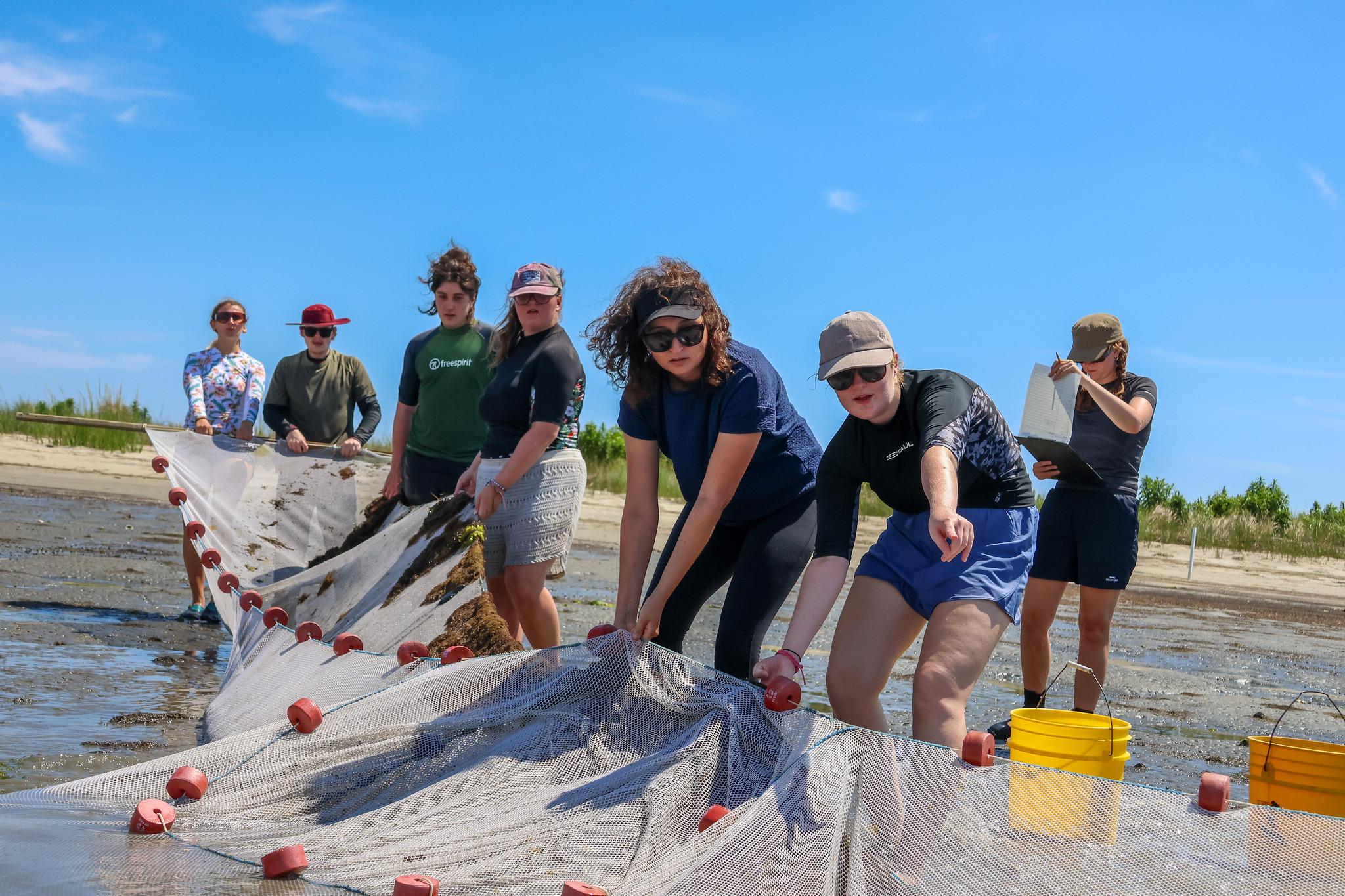 Bangor University instructor Charlotte Colvin helps students pull in seine net on Cedar Island beach.