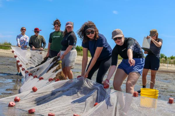 Bangor University instructor Charlotte Colvin helps students pull in seine net on Cedar Island beach.