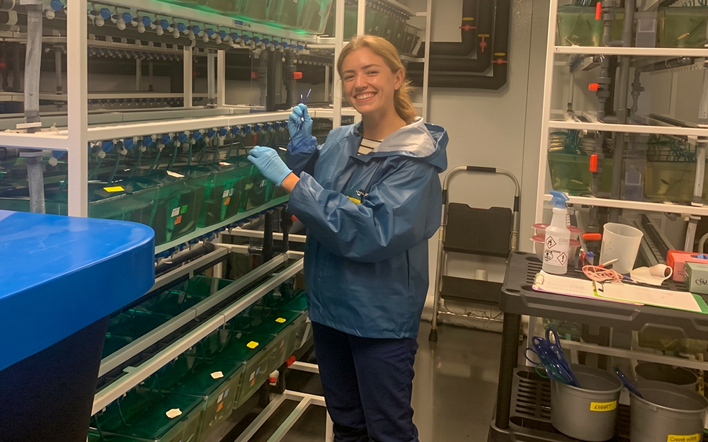 Co-author Anna Mehlhorn ’22 working with the rainbow trout. Photo provided by Meredith Evans Seeley.