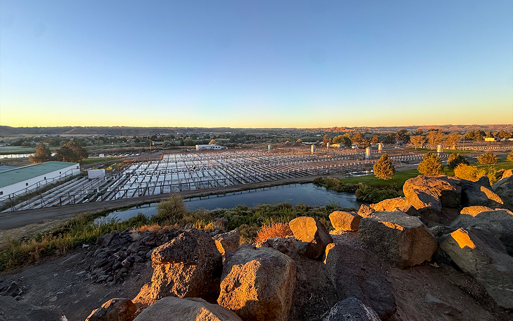 A commercial trout aquaculture farm. Photo provided by Meredith Evans Seeley.