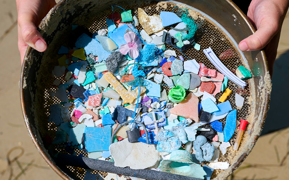 An assortment of microplastics. Photo by James Loving.