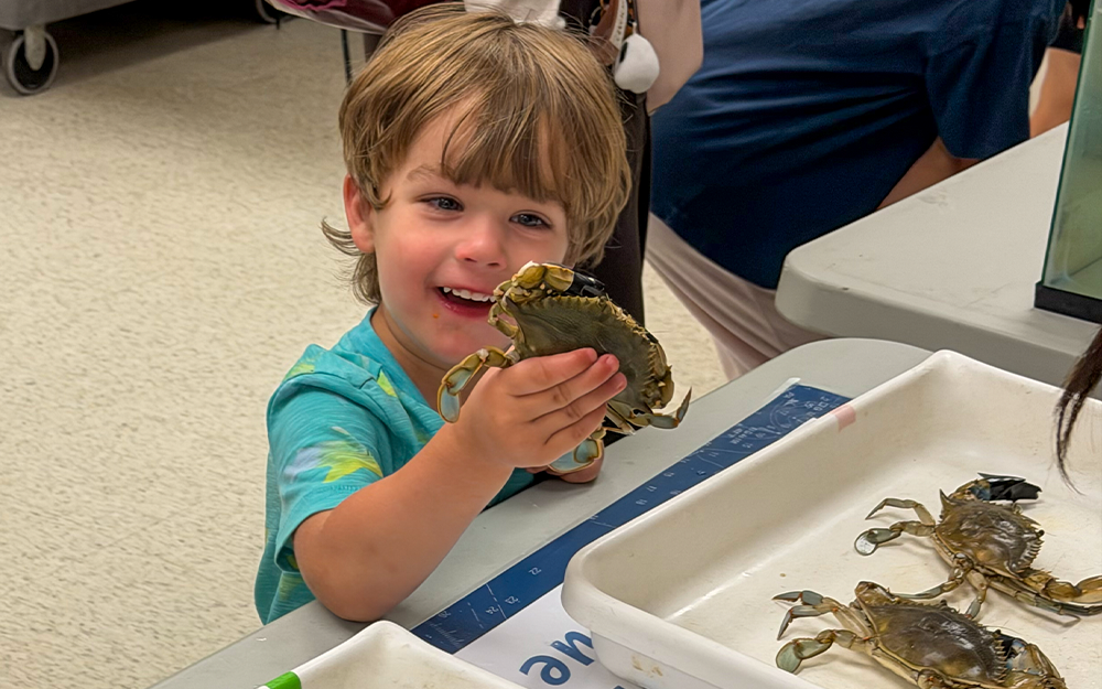 James, a young Marine Science Day attendee, holding a blue crab. Photo by Ethan Smith.