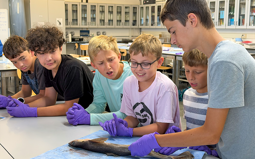 Seaside Scholars dissecting a dogfish shark.