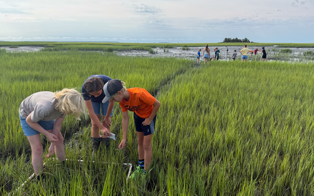 Seaside Scholars conducting quadrat survey research.