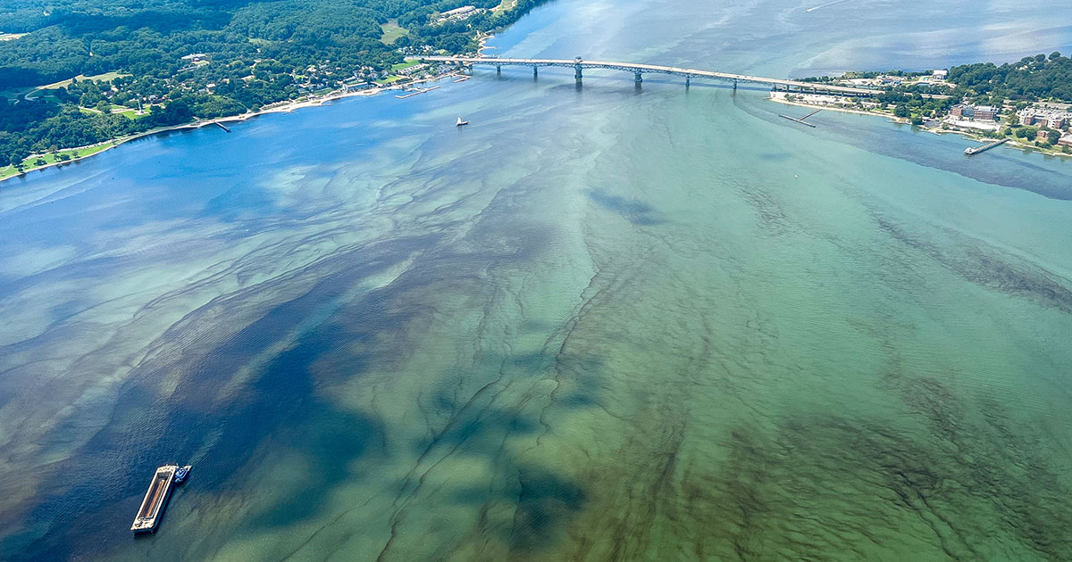 Scientists forecast milder Chesapeake Bay dead zone in 2026 | Virginia ...