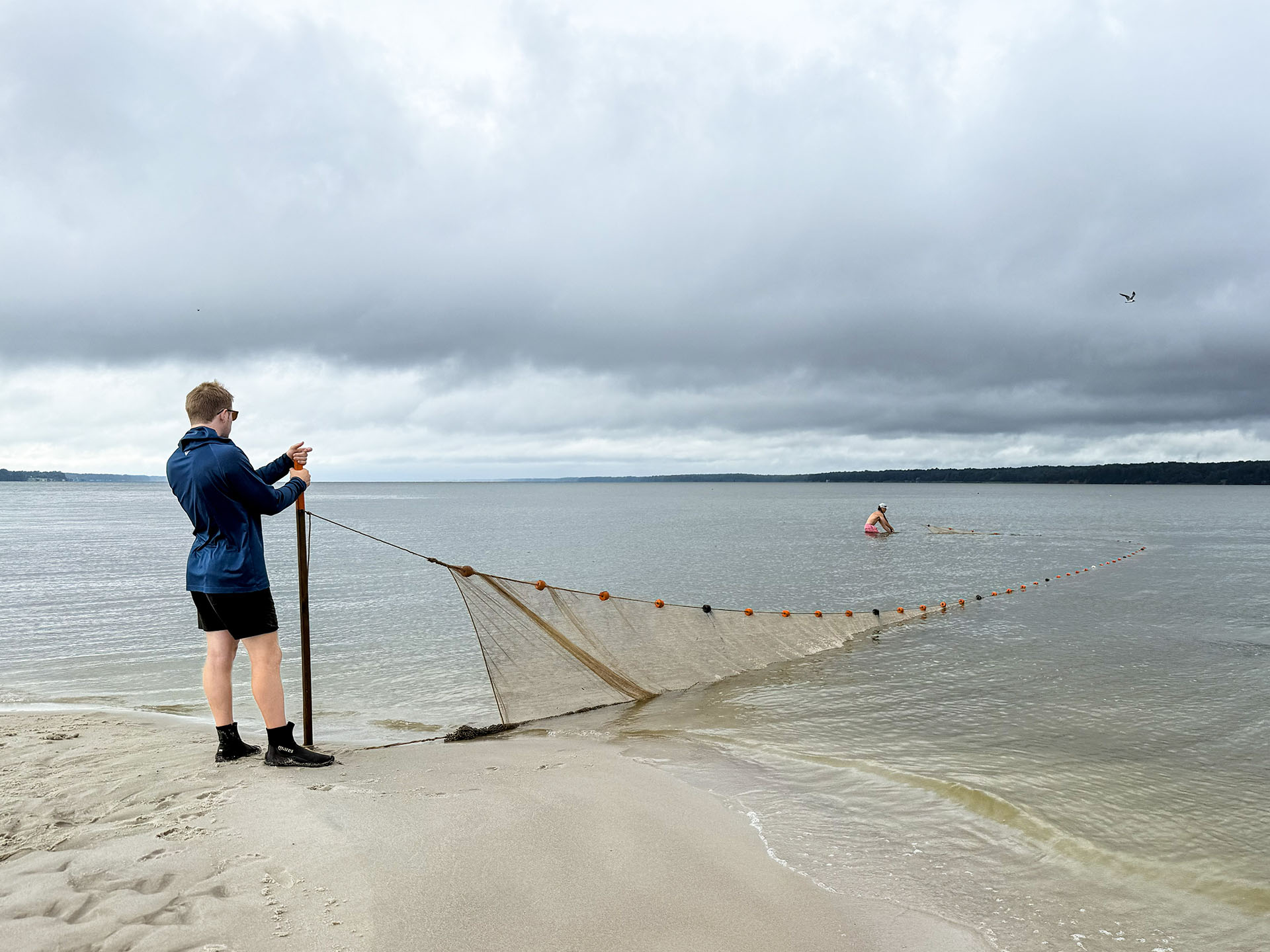 To conduct the annual survey, scientists sample 18 index sites five times by deploying a 100-foot seine net from the shore. Photo by Jack Buchanan. 