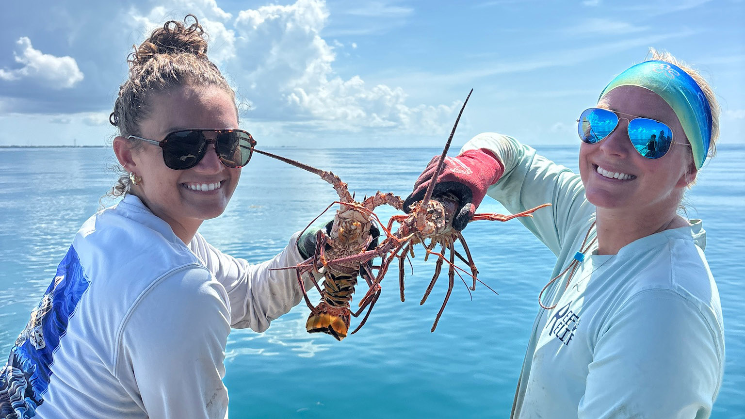 Workers with Ocean Aid 360 hold up spiny lobsters recovered from abandoned traps in the Florida Keys. Photo by Ocean Aid 360. 