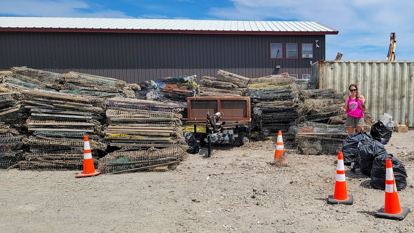 More than 350 derelict lobster traps removed from the Maine coastal waters. Photo by OceansWide.