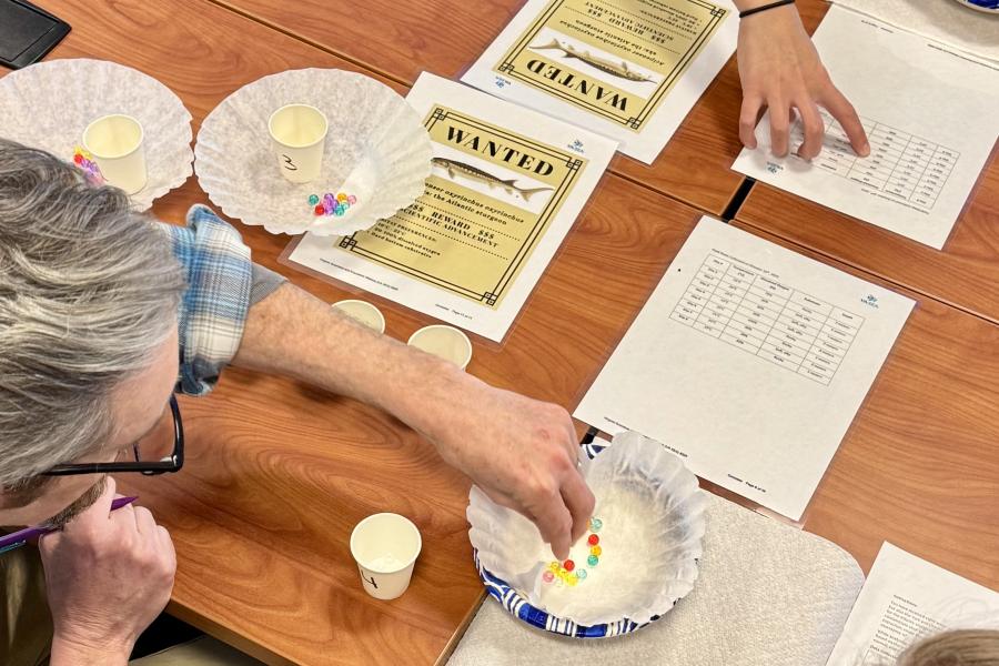 Each teachers in attendance received one lesson plan package to pilot-test in their classrooms. Photo by Patrick McGettigan.