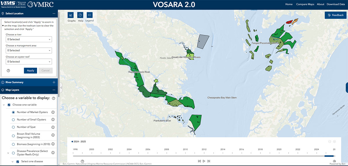 VOSARA 2.0 allows users to visualize more than 20 years of oyster fishery data in Virginia waters. 