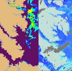 Sample images from the Landsat (L) and Sentinel (R) satellites show the greater resolution of the latter. © NASA-USGS/ESA.