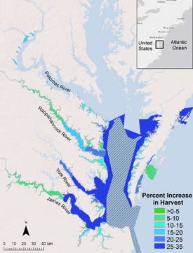 Map of predicted harvest increases. Hatched area is a no-take crab sanctuary. Click to zoom.