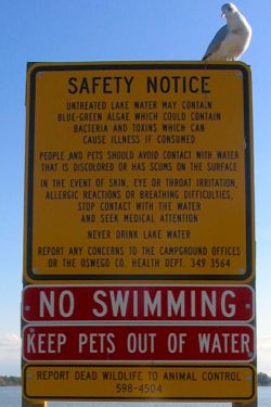 A sign warns of a HAB event in a freshwater lake.