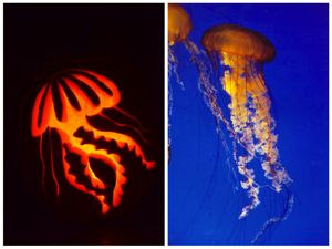 Sivaipram's winning pumpkin closely resembles the real thing. Click for larger image.