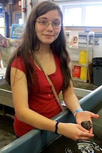 Destiny Halleran, 15, holds a scallop from an exhibit at VIMS' Marine Life Day. C. Katella/VIMS