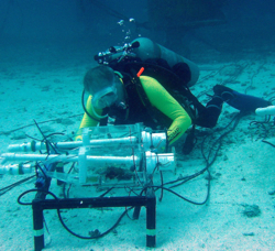 VIMS professor Mark Patterson monitors oxygen probes during a previous Aquarius mission.