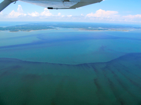 Aerial photograph of the algal bloom looking toward New Point Comfort at the mouth of Mobjack Bay. Photo by Kim Reece/Bill Jones.