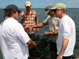 Drs. Mark Luckenbach (L) and JJ Orth of VIMS (2nd from R) explain to Representative Scott Rigell (R) the techniques used to re-introduce bay scallops to Virginia's coastal bays. TNC’s Director of Government Relations David Phemister (2nd from L)looks on.   